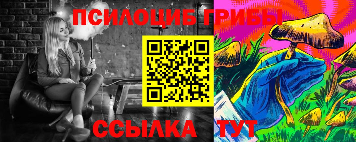 Галлюциногенные грибы Cubensis  Вход с VPN  Бердск 