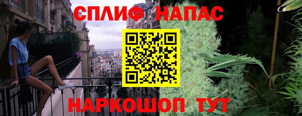 Каннабис планчик  Вход с VPN  Конопля THC 21%  Бердск 
